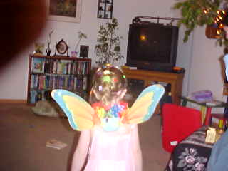 Fairy Wings